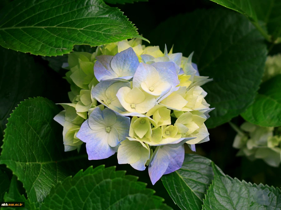 test 2