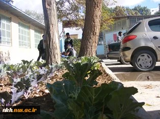 شــورای شهر و شــهرداری هم  پای کار آمدند 3