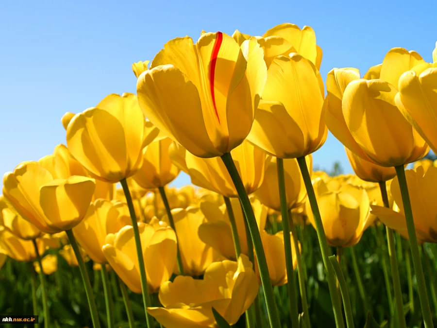 test 2