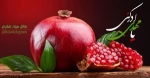 نهم ربیع الاول روز تجلی حاکمیت مستضعفان بر جهان،و روز نوید دهنده ی شکست نمرودیان و روز شادی شیعیان در تاجگذاری امام زمان(عج) مبارک باد.
 2