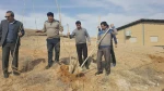 در آستانه هفته منابع طبیعی کاشت 300 اصله نهال در آموزشکده فنی پسران بجنورد  10