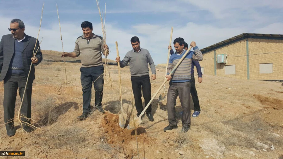 در آستانه هفته منابع طبیعی کاشت 300 اصله نهال در آموزشکده فنی پسران بجنورد  10