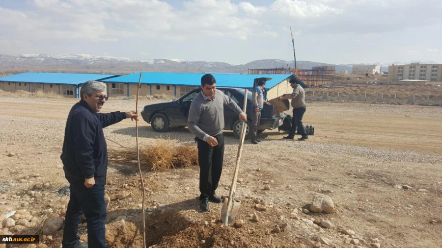 در آستانه هفته منابع طبیعی کاشت 300 اصله نهال در آموزشکده فنی پسران بجنورد  12