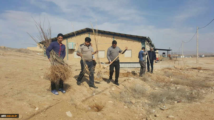 در آستانه هفته منابع طبیعی کاشت 300 اصله نهال در آموزشکده فنی پسران بجنورد  13