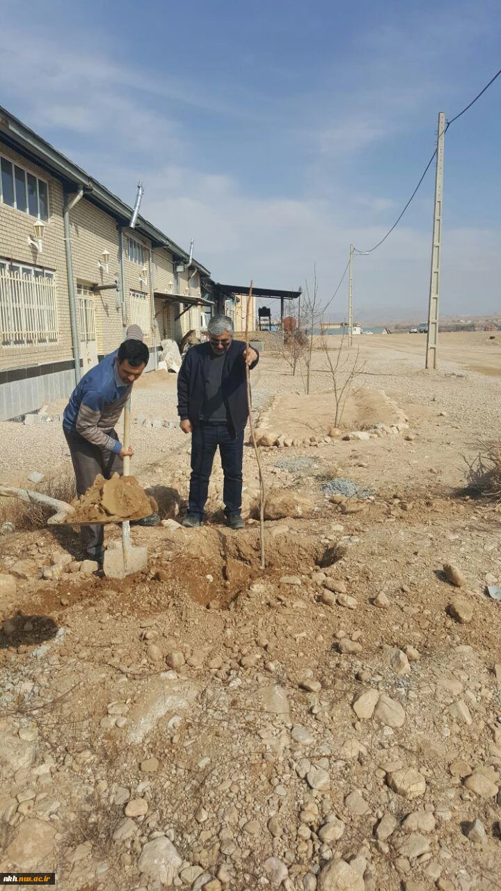 در آستانه هفته منابع طبیعی کاشت 300 اصله نهال در آموزشکده فنی پسران بجنورد  18