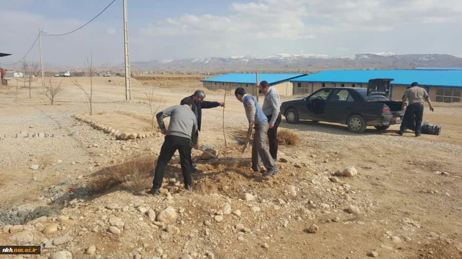 در آستانه هفته منابع طبیعی کاشت 300 اصله نهال در آموزشکده فنی پسران بجنورد  4