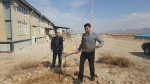 در آستانه هفته منابع طبیعی کاشت 300 اصله نهال در آموزشکده فنی پسران بجنورد  6