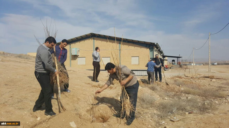 در آستانه هفته منابع طبیعی کاشت 300 اصله نهال در آموزشکده فنی پسران بجنورد  6