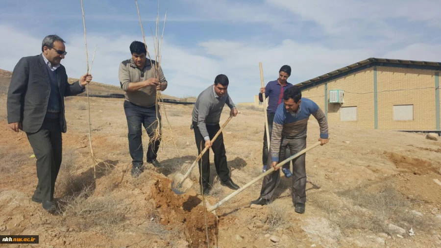 در آستانه هفته منابع طبیعی کاشت 300 اصله نهال در آموزشکده فنی پسران بجنورد  8