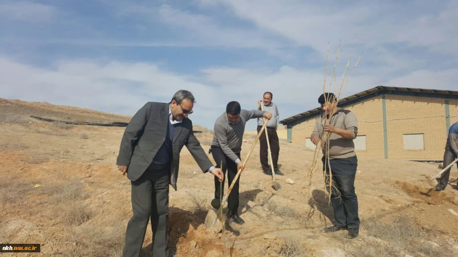 در آستانه هفته منابع طبیعی کاشت 300 اصله نهال در آموزشکده فنی پسران بجنورد  11