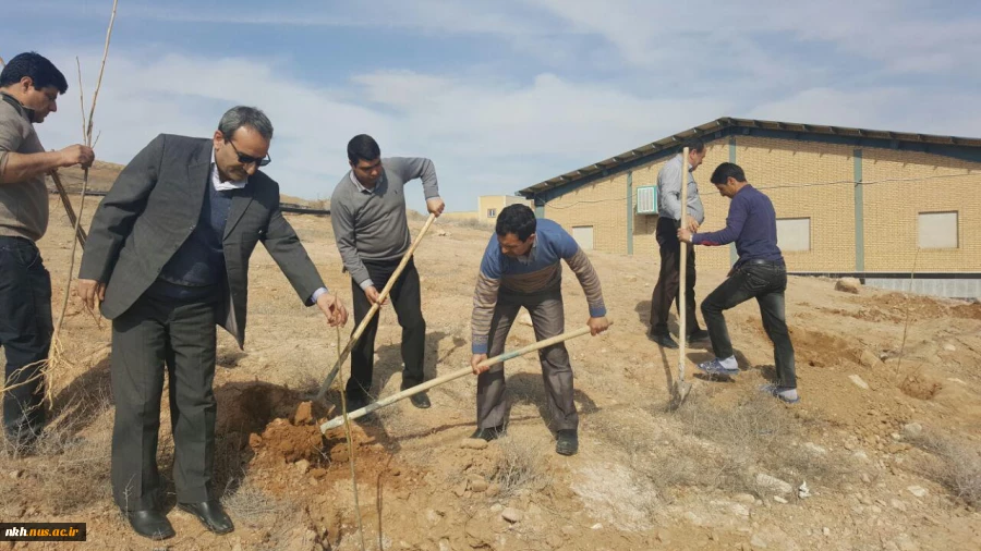 در آستانه هفته منابع طبیعی کاشت 300 اصله نهال در آموزشکده فنی پسران بجنورد  12