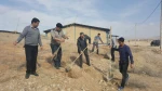 در آستانه هفته منابع طبیعی کاشت 300 اصله نهال در آموزشکده فنی پسران بجنورد  2