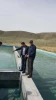 بازدید از طرح پژوهشی آموزشکده کشاورزی آشخانه 2