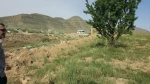 بازدید از طرح پژوهشی آموزشکده کشاورزی آشخانه 10