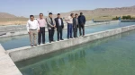 بازدید آقای مهندس عباس خدابنده از پروژه پژوهشی غنی سازی آب کشاورزی با پرورش ماهی آموزشکده کشاورزی مانه وسملقان 3
