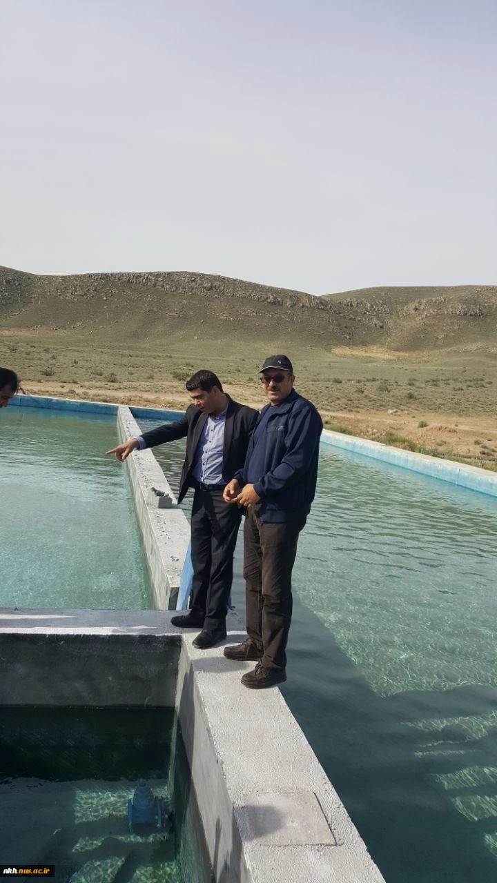 بازدید آقای مهندس عباس خدابنده از پروژه پژوهشی غنی سازی آب کشاورزی با پرورش ماهی آموزشکده کشاورزی مانه وسملقان 4