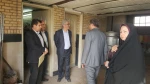 بازدید آقای دکتر فیروز از استان آبان 96 6