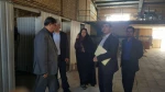 بازدید آقای دکتر فیروز از استان آبان 96 15