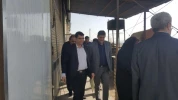 بازدید آقای دکتر فیروز از استان آبان 96 17