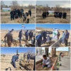 کاشت نهال به یاد شهیدان و به پاس گرامیداشت هفته منابع طبیعی در دانشگاه فنی و حرفه ای خراسان شمالی 2